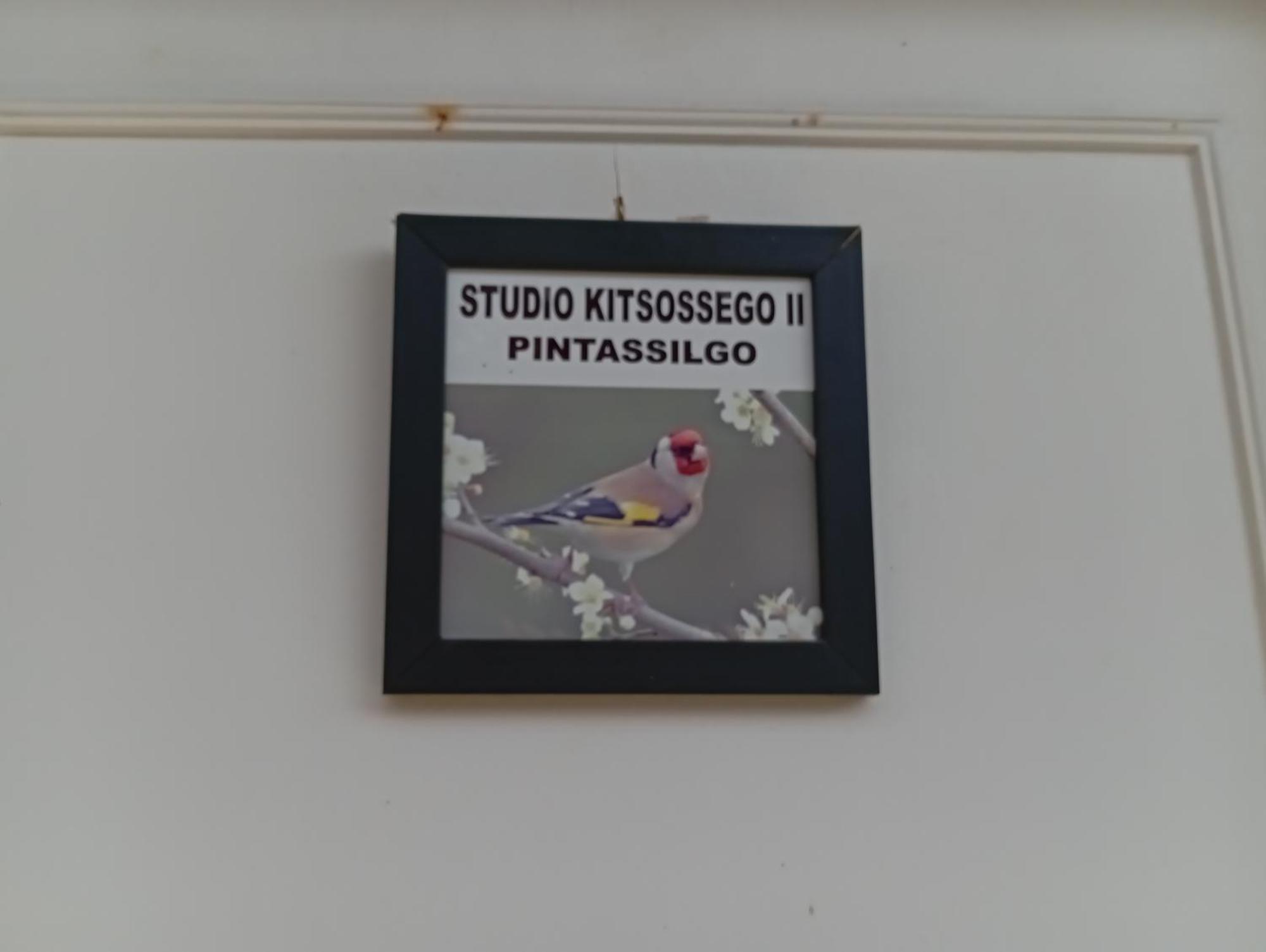 Studio Kitsossego Curitiba Esterno foto